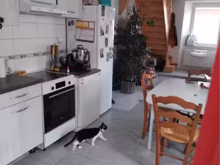 appartement t3