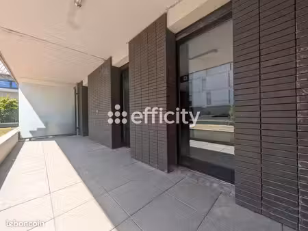 studio 1 pièce 31 m²