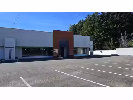 location commerce chalon sur saone 71100 300m²