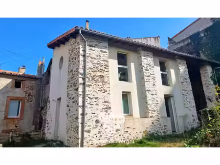 maison de 55m² / 2 chambres / jardin / dépendance / montrevault sur evre