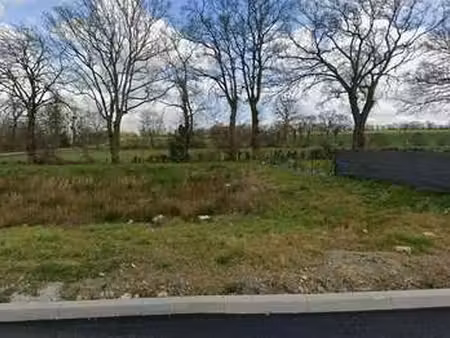 vente terrain à saint-armel (35230) : à vendre / saint-armel