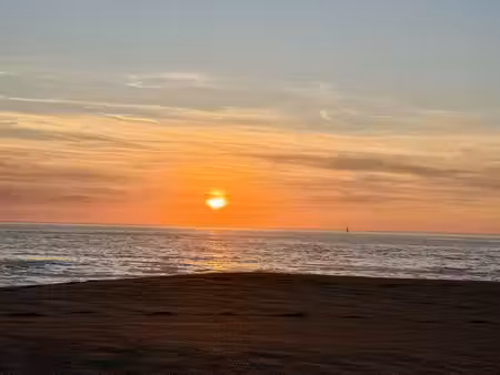 terrain soorts-hossegor - 1000m²