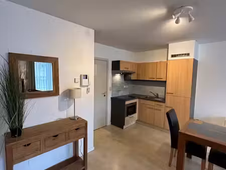 prachtig gemeubeld appartement - 1 kamer (plasky)