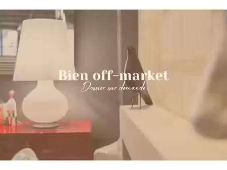maison de luxe de 9 pièces en vente à amboise  centre