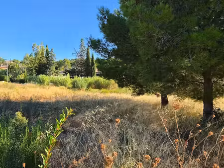 vente terrain  1083.00m²  bize