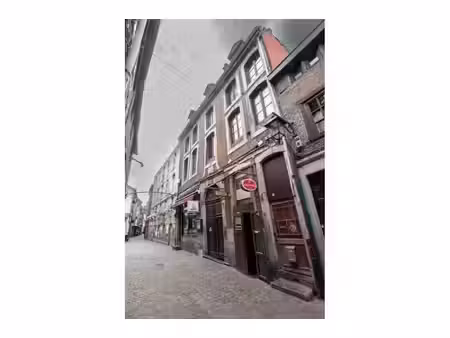 studio à vendre à rue roture 24 liège (vbe71992)