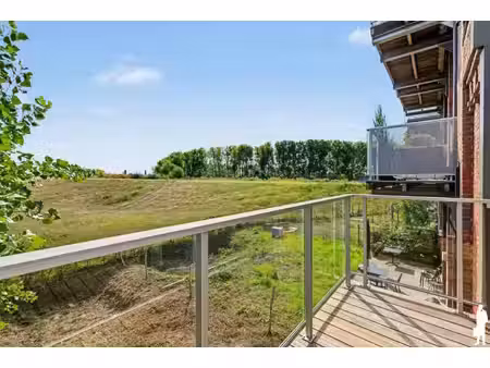 de boer & partners antwerpen