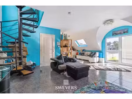 swevers real estate