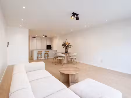 willem cauwels real estate