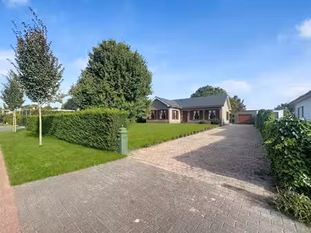 we hebben het in huis.