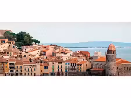 vente commerce 4 pièces 180 m² roquebrune-cap-martin (06190)