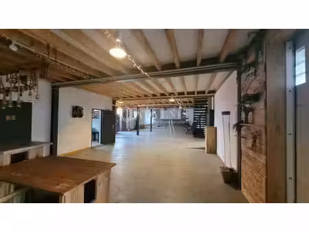 vente local d’activités carquefou 44470 500m²