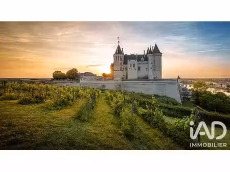 hôtel à saumur (49400)