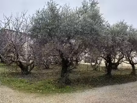 terrain - 861 m²