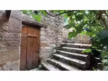vente maison 8 pièces 212 m² thenon (24210)