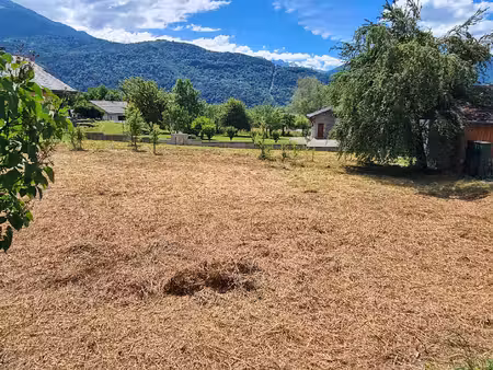 terrain