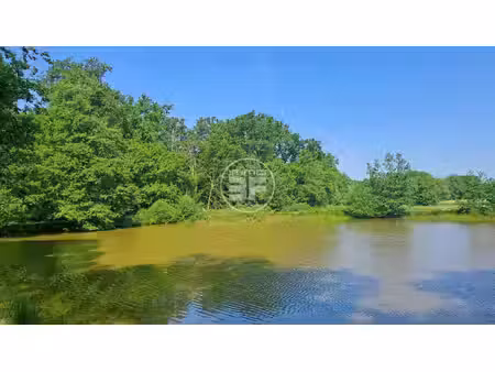 à vendre – superbe terrain de loisirs avec 2 étangs à saint
