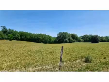 parcelles de pré et bois avec point d'eau