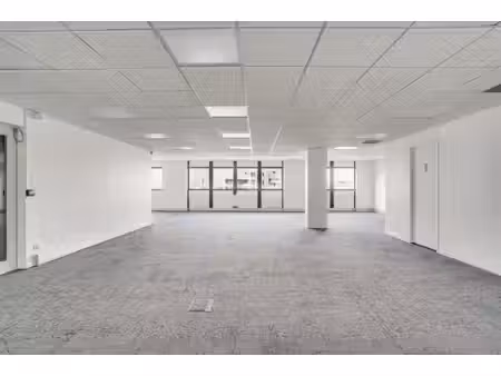 location local professionnel 277m²