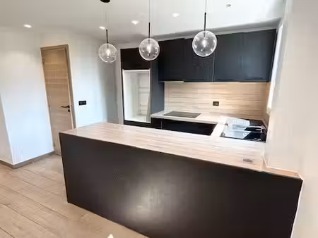 location appartement 5 pièces 75m² st maurice 94410