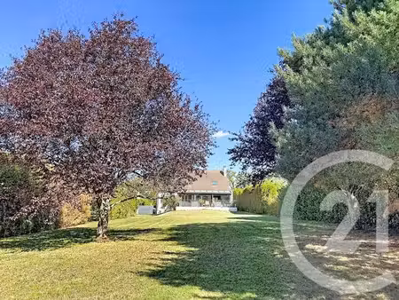 maison à vendre - 6 pièces - 163 86 m2 - samoreau - 77 - ile-de-france