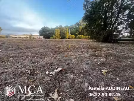 vente terrain 1000 m² cadillac-sur-garonne (33410)