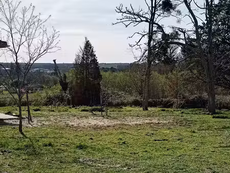 terrain à bâtir à pompéjac (33730)