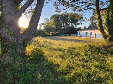 achat terrain 1 048m² st hilaire de riez 85270