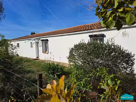 achat maison 5 pièces 100m² bois de cene 85710