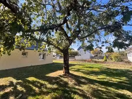 vente maison à languidic (56440) : à vendre / 73m² languidic