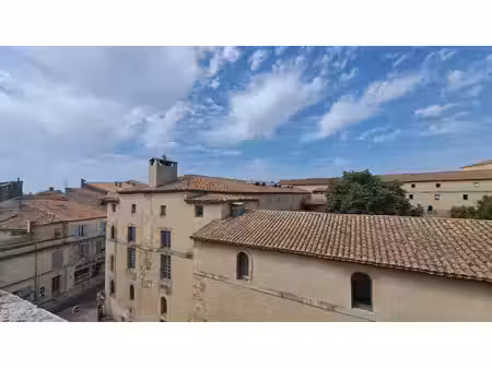 achat maison 9 pièces 264m² arles 13200