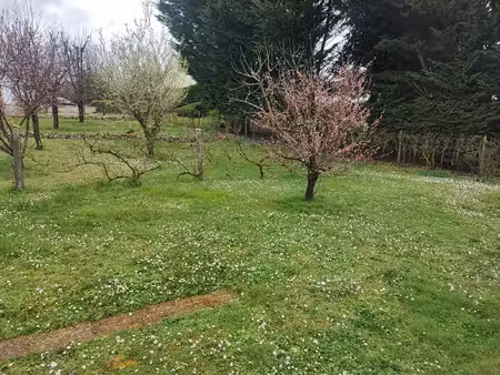 terrain à bâtir