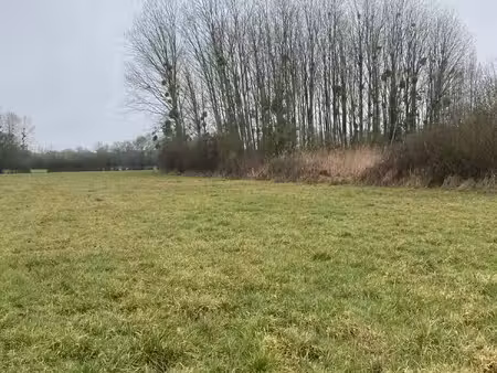 terrain château-la-vallière