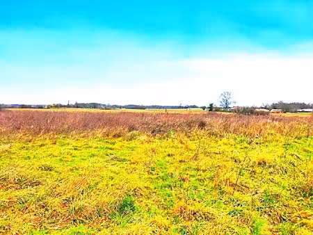 à vendre – terrain constructible de 4 133 m² à aire-sur-l’adour