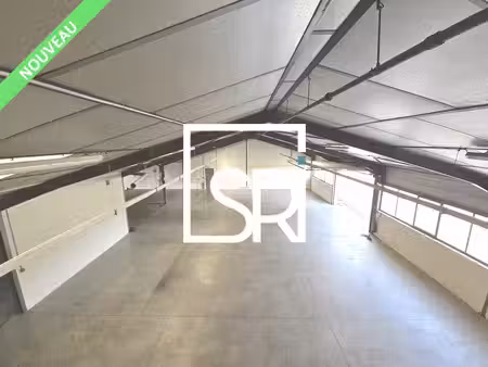 vente entrepôt puy guillaume 63290 1010m²