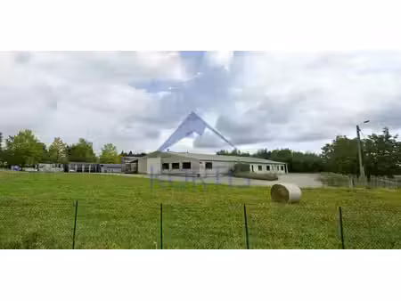 vente local d’activités 1600m²