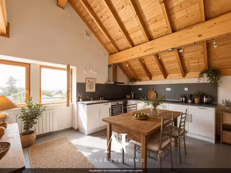 appartement t3/4 duplex 85m2 - 5m sous plafond - ferme rénové