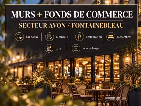 vente fonds de commerce 10 pièces 273 m2 à fontainebleau