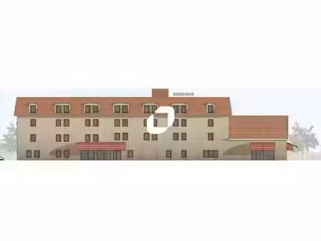 vente commerce esmans 77940 2096m²