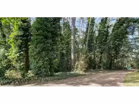 terrain à bâtir à vendre à tessenderlo pour € 65.000