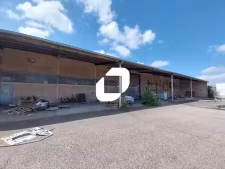 vente local d’activités jonage 69330 3700m²