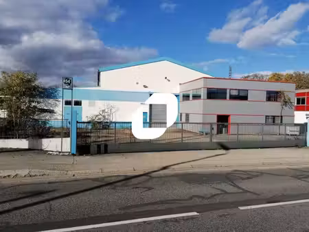 vente local d’activités rillieux la pape 69140 483m² à 966m²