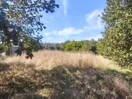 vente terrain à plozévet (29710) : à vendre / 757m² plozévet