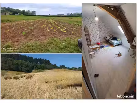 maison + 13 hectares + local commercial