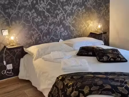 appartement t2 fraîchement rénové à louer