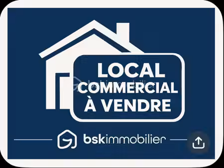 au nord de tarbes  ensemble professionnel de 650 m² sur 2300 m² de terrain