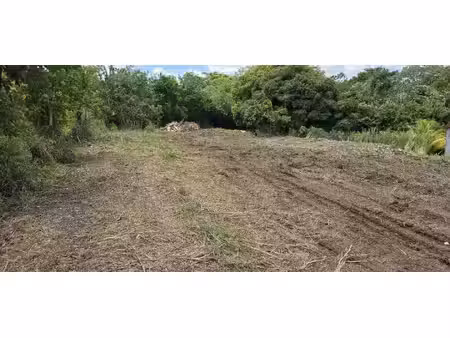 terrain à vendre
