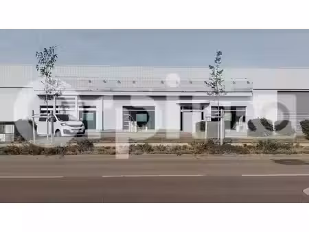 local commercial à louer