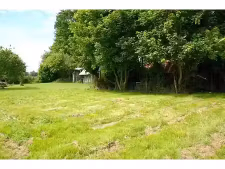 vente terrain 786 m² à criquebeuf-en-caux (76111)  49 000 €