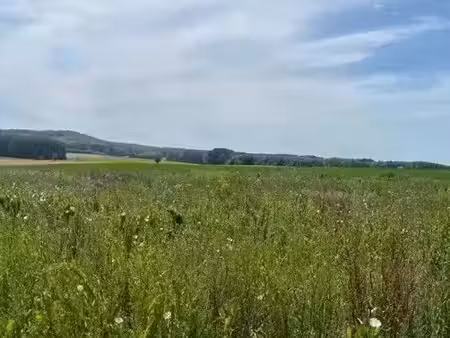 vente terrain à batir 3744 m² à noyon (60400)  66 000 €